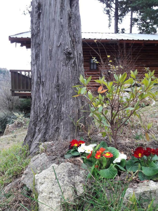 Cerro Cumbrecita Villa La Cumbrecita Exteriör bild
